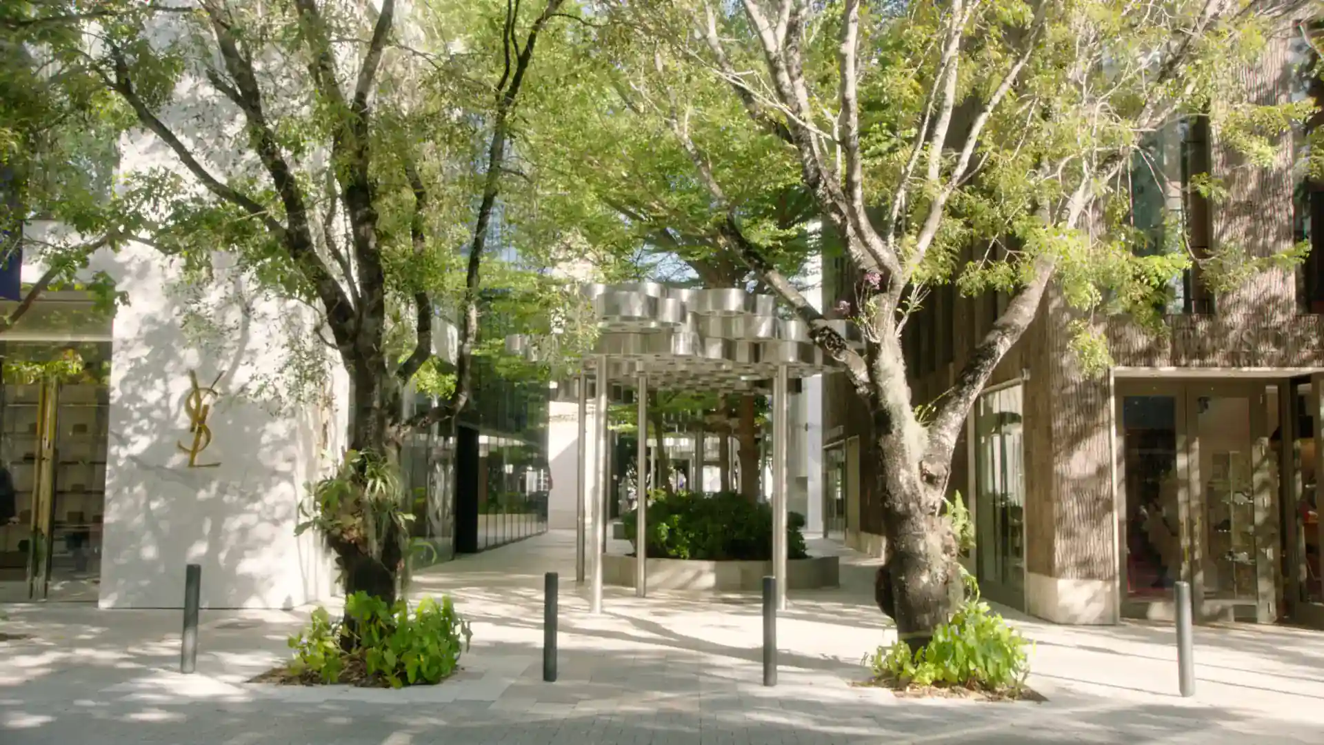 Entrance of the Hotel with two beautiful trees on the street